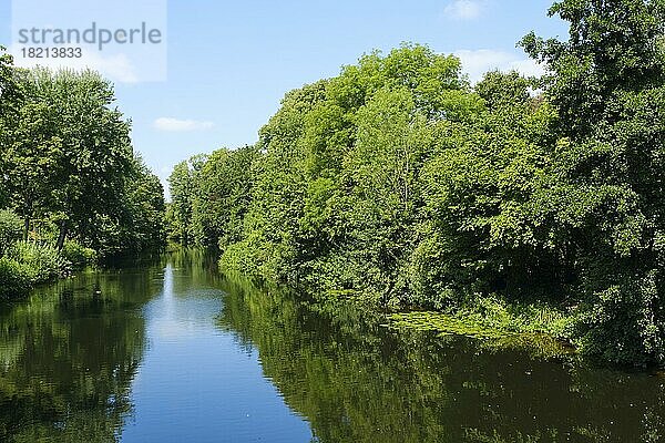Landschaft mit Wald am Fluss Ems  Warendorf  Nordrhein-Westfalen  Deutschland  Europa