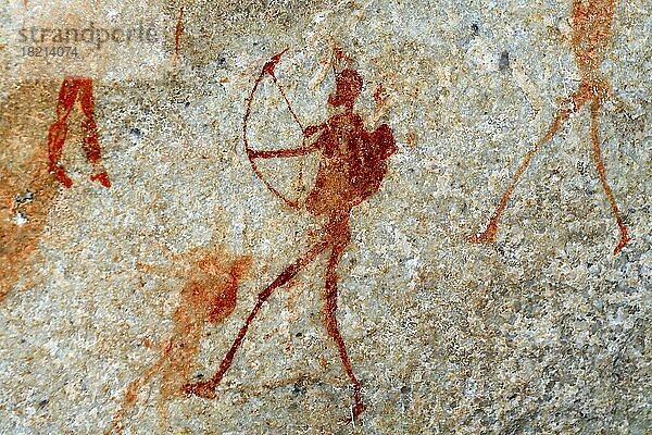 Alte Felszeichnungen der San  Ureinwohner Südafrikas  Sevilla Rock Art Trail  Cederberge nahe Clanwilliam und Wuppertal  Western Cape  West Kap  Südafrika
