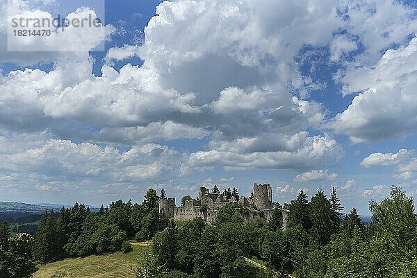 Burgruine Hohenfreyberg  Enstehung 1418  Pfronten (Ostallgäu)  Bayern  Deutschland  Europa