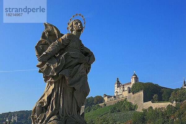 Festung Marienberg und die Statue  die Heilige Jungfrau Maria  dargestellt als Patrona Franconiae  Würzburg  Unterfranken  Bayern  Deutschland  Europa