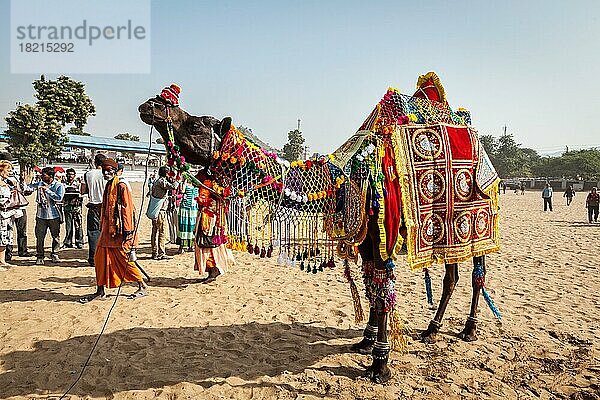 PUSHKAR  INDIEN  22. NOVEMBER 2012: Kameldekorationswettbewerb auf der Pushkar-Kamelmesse (Pushkar Mela)  einer jährlichen fünftägigen Kamel- und Viehmesse  einer der größten Kamelmessen und Touristenattraktion der Welt