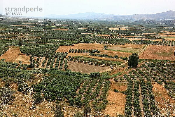 Blick über die Mesara-Ebene  Tal mit Olivenbäumen  Kreta  Griechenland  Europa