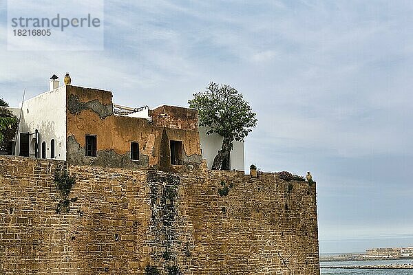 Alte Mauer der Festungsanlage Kasbah des Oudaïas  Rabat  Rabat-Salé-Kénitra  Marokko  Afrika