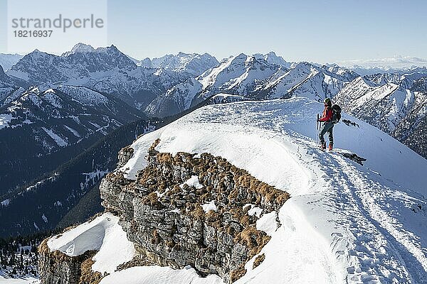 Bergsteiger im Winter im Schnee  Am Schafreuter  Karwendelgebirge  Alpen bei gutem Wetter  Bayern  Deutschland  Europa