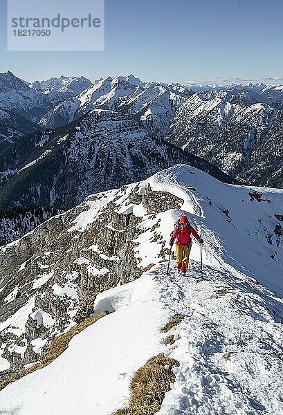 Bergsteiger im Winter im Schnee  Am Schafreuter  Karwendelgebirge  Alpen bei gutem Wetter  Bayern  Deutschland  Europa