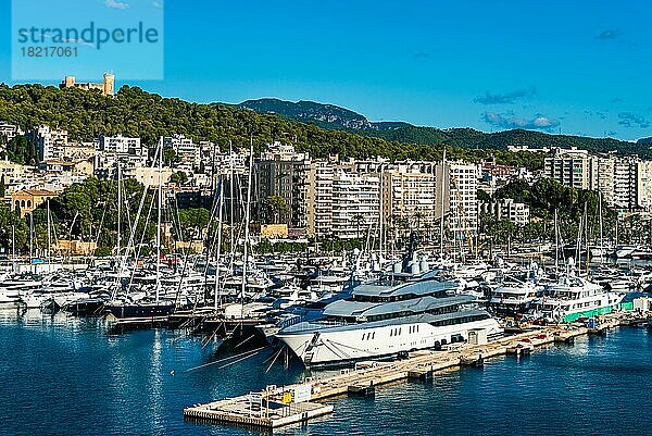 Yachthafen von Palma De Mallorca  Spanien  Europa