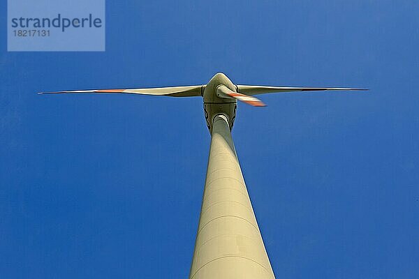 Windkraftanlage  Symbolbild erneuerbare Energie  Brandenburg  Deutschland  Europa