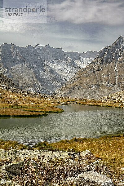 Märjelensee mit Aletschgebiet  Alpenpanorama  Fiescheralp  Wallis  Schweiz  Europa