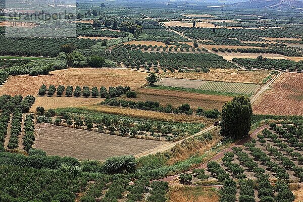 Blick über die Mesara-Ebene  Tal mit Olivenbäumen  Kreta  Griechenland  Europa