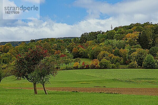 Herbstlandschaft  Niederösterreich  Österreich  Europa