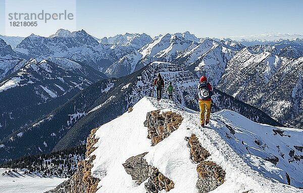 Bergsteiger im Winter im Schnee  Am Schafreuter  Karwendelgebirge  Alpen bei gutem Wetter  Bayern  Deutschland  Europa