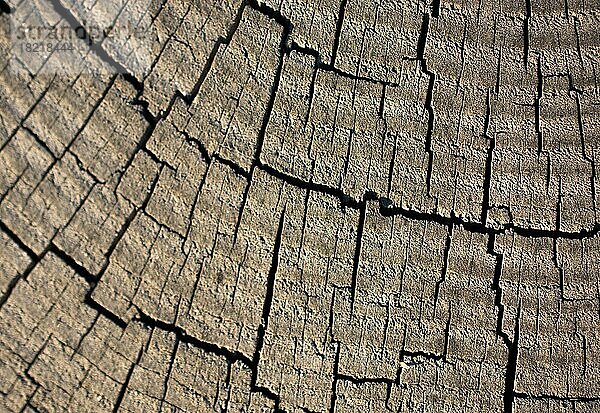 Holztextur mit natürlichen Mustern als Hintergrund