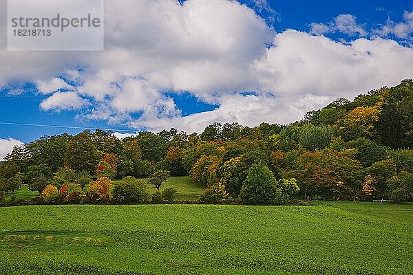 Herbstlandschaft  Niederösterreich  Österreich  Europa