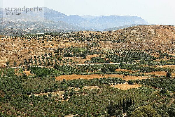 Blick über die Mesara-Ebene  Tal mit Olivenbäumen  Kreta  Griechenland  Europa