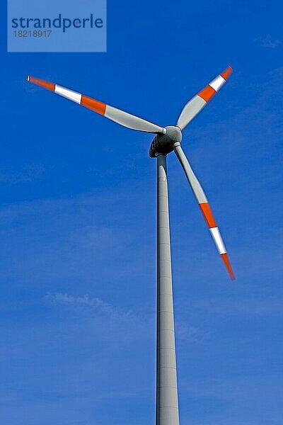 Windkraftanlage  Symbolbild erneuerbare Energie  Brandenburg  Deutschland  Europa