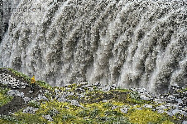 Tourist steht an einem Canyon  Canyon mit herabstürzenden Wassermassen  Dettifoss  Wasserfall im Sommer  Nordisland  Island  Europa