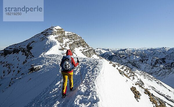 Skitourengeherin im Winter im Schnee  Am Schafreuter  Karwendelgebirge  Alpen bei gutem Wetter  Bayern  Deutschland  Europa