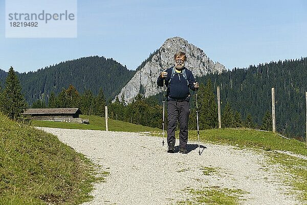 Wanderer  Senior  63  auf dem Weg zur Königsalm vor Leonhardstein  Kreuth  Mangfallgebirge  Oberbayern  Deutschland  Europa