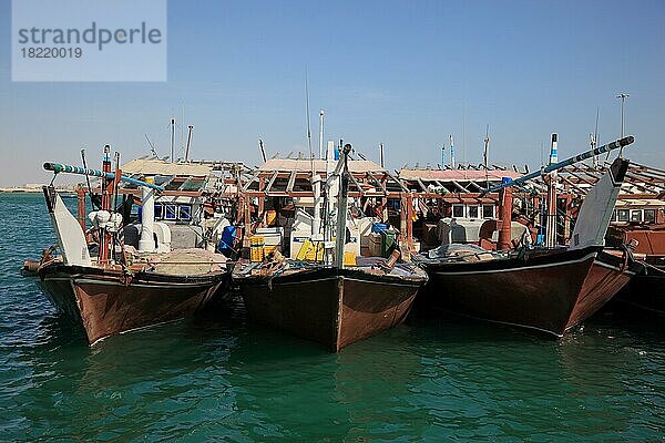 Dhauhafen von Al Khor  Katar  Qatar  Asien