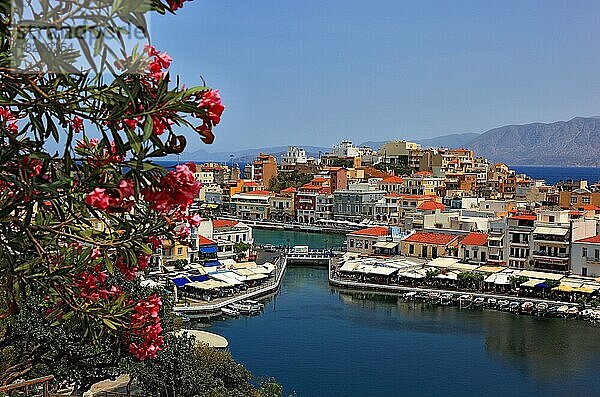 Agios Nikolaos  Blick auf das Stadtzentrum am Voulismeni-See  Kreta  Griechenland  Europa