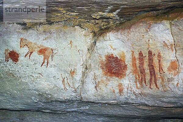 Alte Felszeichnungen der San  Ureinwohner Südafrikas  Sevilla Rock Art Trail  Cederberge nahe Clanwilliam und Wuppertal  Western Cape  West Kap  Südafrika