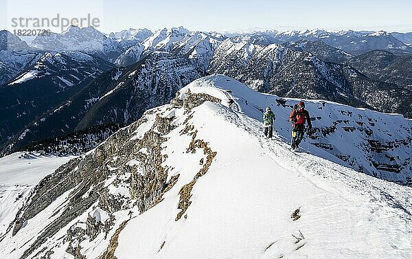 Bergsteiger im Winter im Schnee  Am Schafreuter  Karwendelgebirge  Alpen bei gutem Wetter  Bayern  Deutschland  Europa