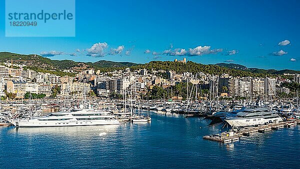 Yachthafen von Palma De Mallorca  Spanien  Europa