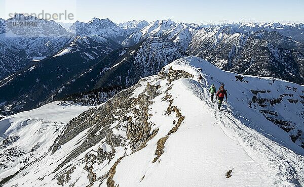 Gipfel des Schafreuter im Winter mit Schnee  Karwendelgebirge  Alpen bei gutem Wetter  Bayern  Deutschland  Europa