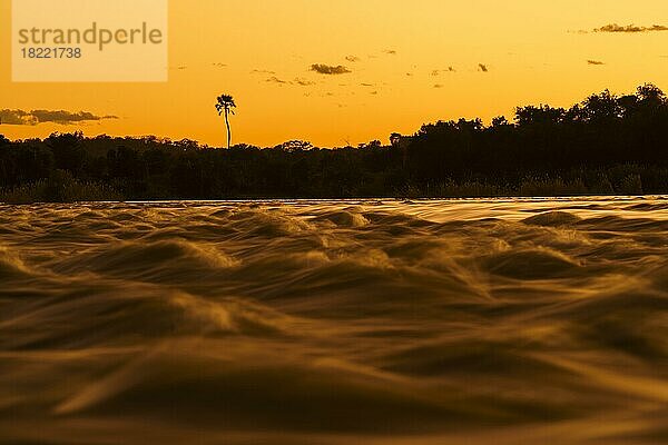 Goldene Stunde an den Stromschnellen des Sambesi-Flusses mit Palme  Himmel und Wolken am Abend bei Sonnenuntergang. Sambesi-Fluss  Sambia  Afrika