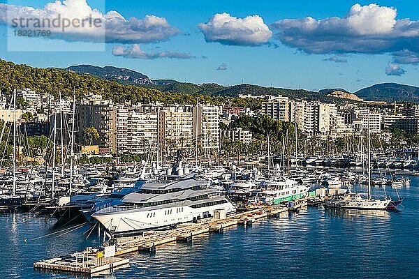 Yachthafen von Palma De Mallorca  Spanien  Europa