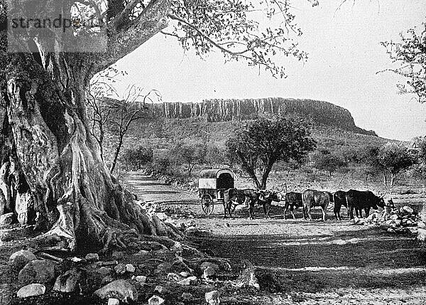 Landschaft am Waterberg im Jahre 1930  Deutsch-Südwest  Kolonie  Namibia  Historisch  digital restaurierte Reproduktion einer Originalvorlage aus dem frühen 20. Jahrhundert  genaues Originaldatum nicht bekannt  Afrika