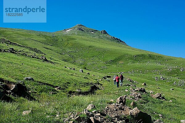 Freunde machen einen Ausflug auf einen Berg