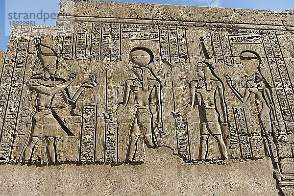 Doppeltempel von Kom Ombo  Reliefs und Gravierungen  Oberäypten  Ägypten  Afrika