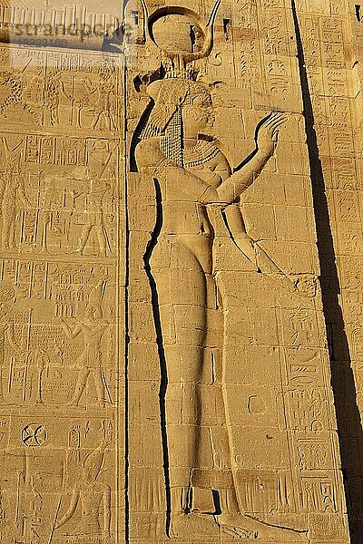 Tempel von Philae  Isis-Tempel  Relief  Insel Agilkia  Assuan  Ägypten  Afrika