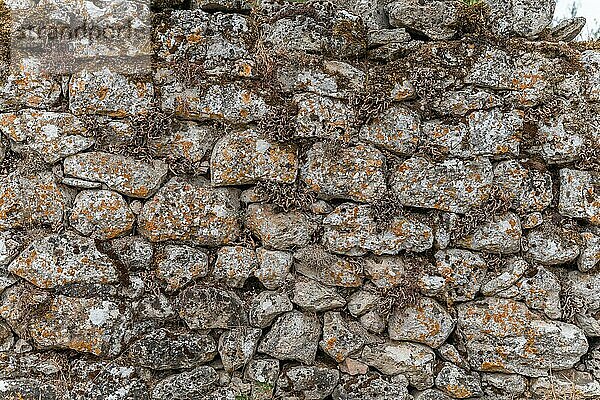Steinmauer an der Causse Mejean in den Cevennen. Aveyron  Frankreich  Europa
