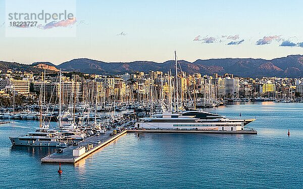 Sonnenaufgang über dem Yachthafen von Palma De Mallorca  Spanien  Europa