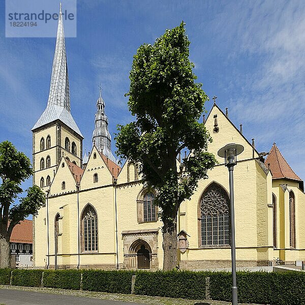 Kirche St. Nikolai  Lemgo  Ostwestfalen-Lippe  Nordrhein-Westfalen  Deutschland  Europa
