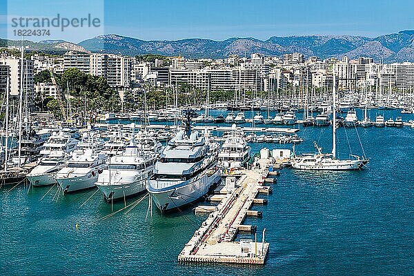 Yachthafen von Palma De Mallorca  Spanien  Europa