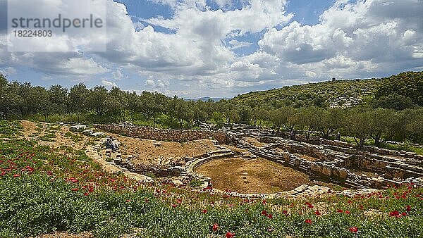 Aptera  Archäologische Stätte  Ausgrabungsstätte  römisch  dorisch  mykenisch  römisches Amphitheater  Stadtstaat  grüne Frühlingswiese  Klatschmohn  Olivenbäume  blauer Himmel mit weißen Wolken  Souda-Bucht  Souda  Chania  Westkreta  Insel Kreta  Griechenland  Europa