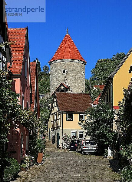 Der Rote Turm  Sommerhausen  Landkreis Würzburg  Unterfranken  Deutschland  Europa