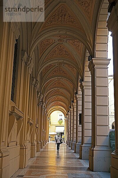Säulengänge von Bologna  Via Farini  Bologna  Emilia Romagna  Italien  Europa