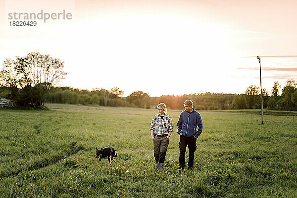 Älteres Paar mit Hund beim Spaziergang auf einem Feld bei Sonnenuntergang