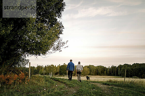 Rückansicht eines Paares mit Hund  das bei Sonnenuntergang auf einem Feld spazieren geht