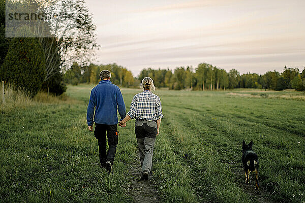 Paar hält sich an den Händen und geht mit Hund auf einem Feld bei Sonnenuntergang spazieren