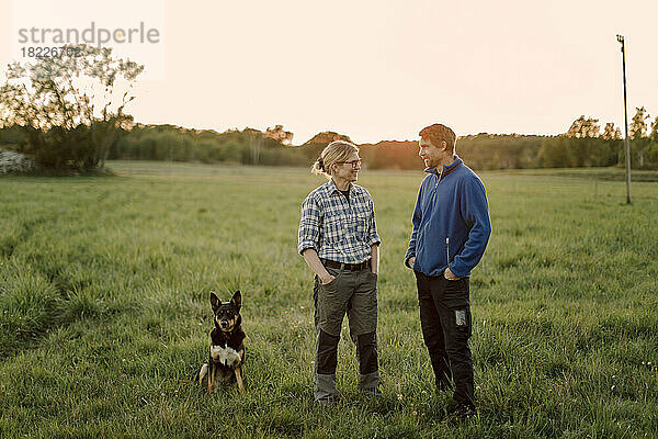 Glückliches reifes Paar mit Hund sitzt bei Sonnenuntergang auf einem Feld