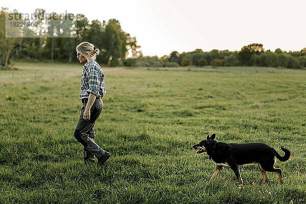 Bäuerin mit Hund geht bei Sonnenuntergang auf einem Feld spazieren