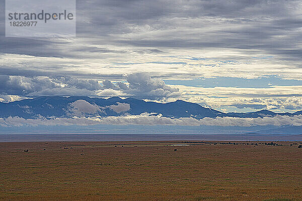 USA  New Mexico  Taos-Plateau  dramatische Landschaft mit Vulkanfeld des Taos-Plateaus