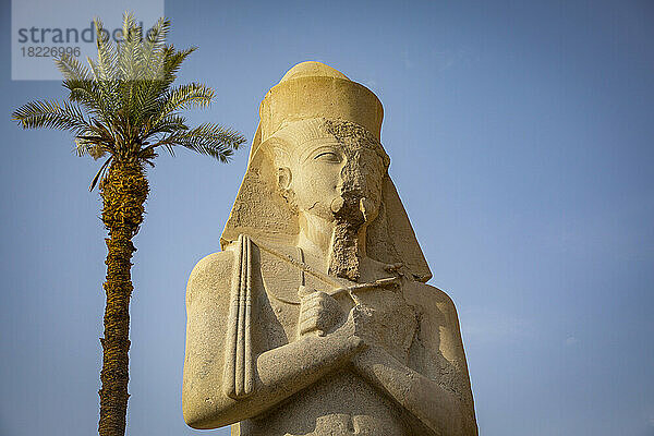 Ägypten  Luxor  Pharao-Statue und Palme im Karnak-Tempel