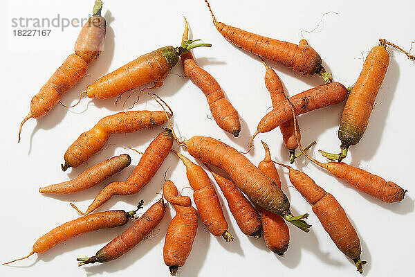 Draufsicht auf frische Karotten auf weißem Hintergrund