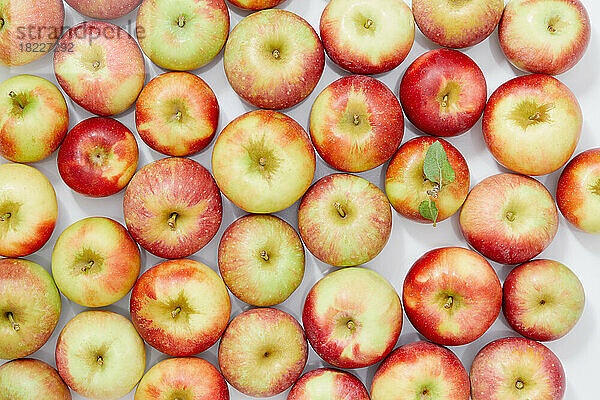 Draufsicht auf reife und bunte Äpfel